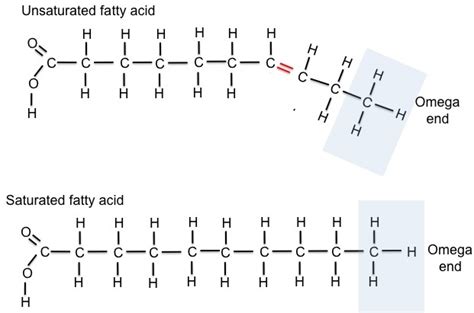 omega 3 saturated or unsaturated